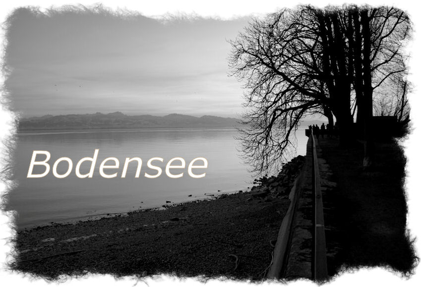 Bodenseelink1