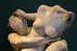 Museo Monatemartini