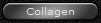Collagen